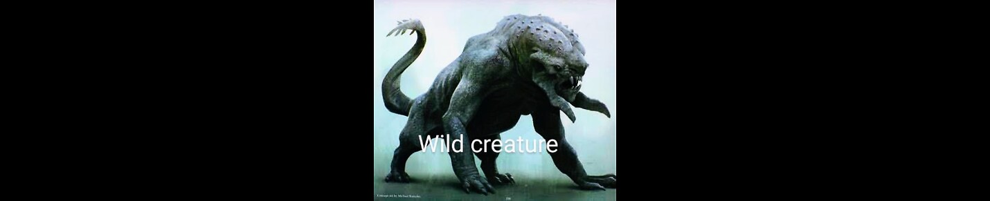 Wild creature fun and hunt