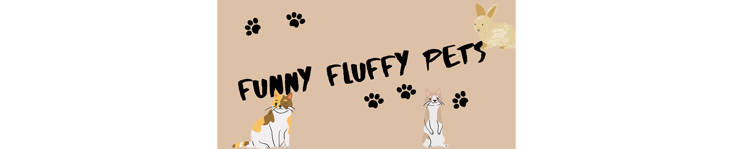 Funny fluffy pets
