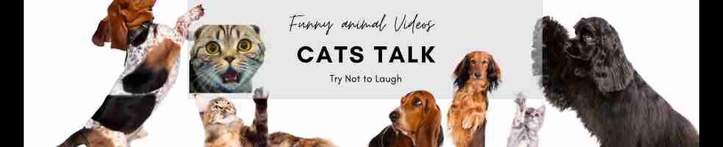 When Cats Talk