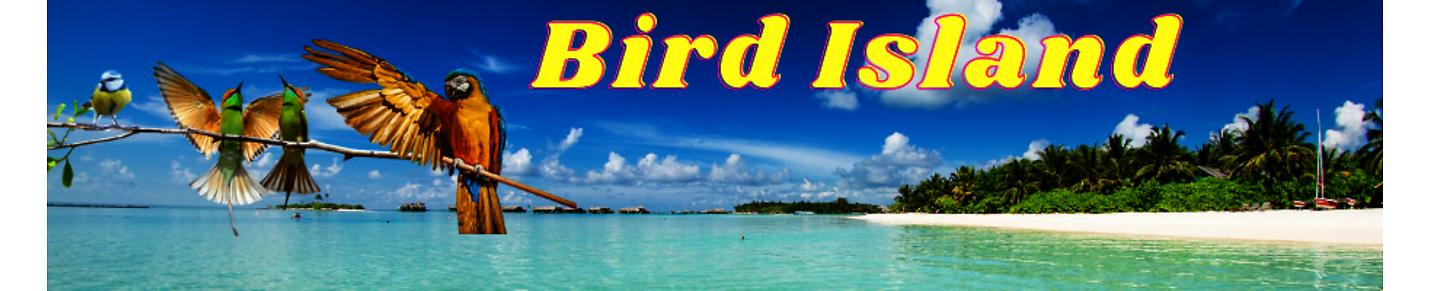 Bird Island