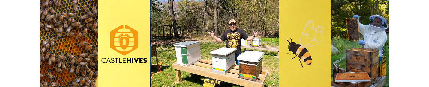 Castle Hives Beekeeping