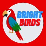 Bright Birds