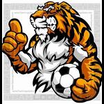 Tigers Outdoor Soccer - Fall 2022