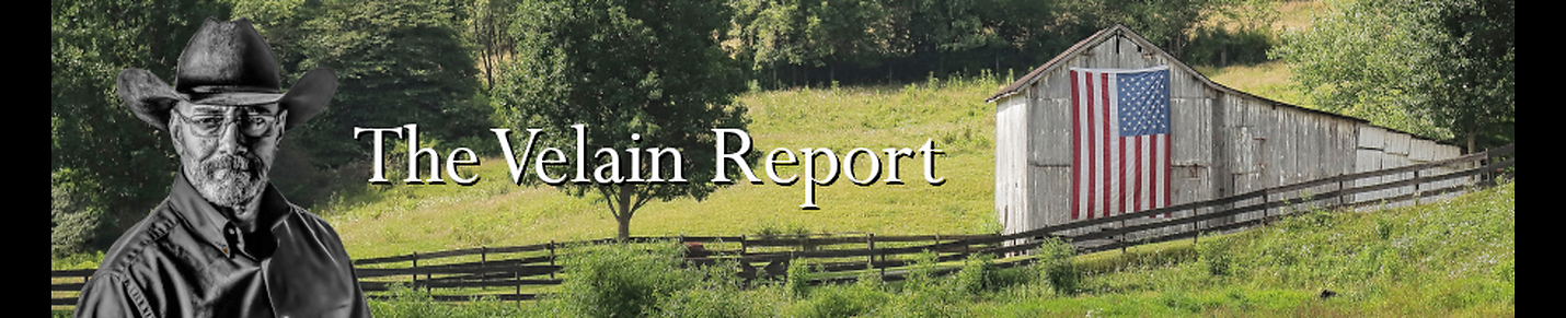 The Velain Report