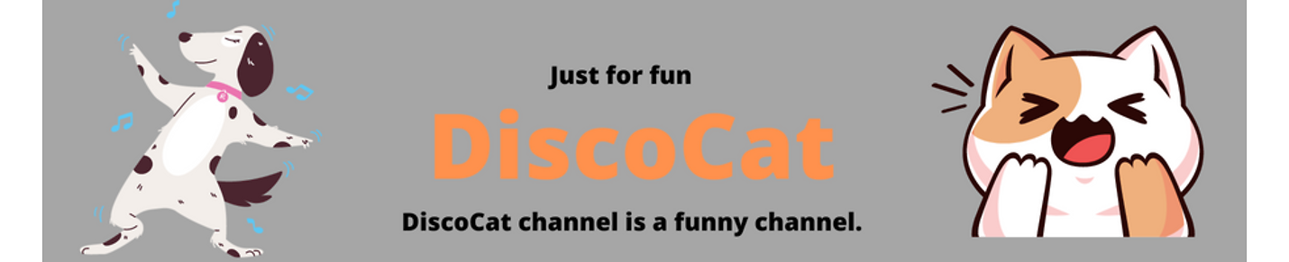 DiscoCat channel is a funny channel.