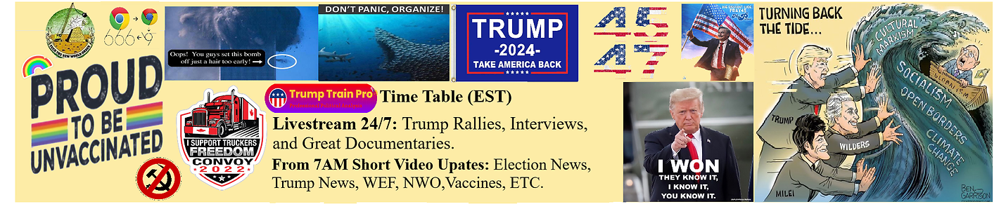 Trump Train Pro 🚅 🥇 #Trump2024 #TrumpRally #Debate
