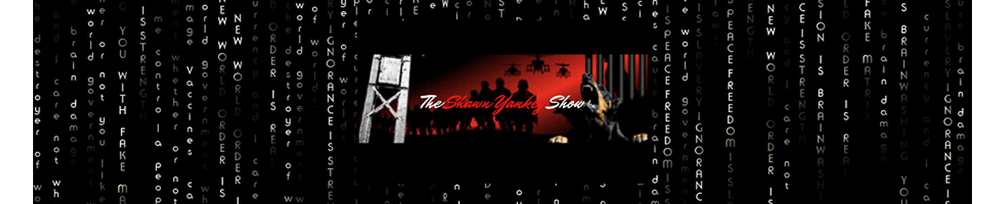 The Shawn Yankey Show