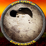 Ari Gold Experience
