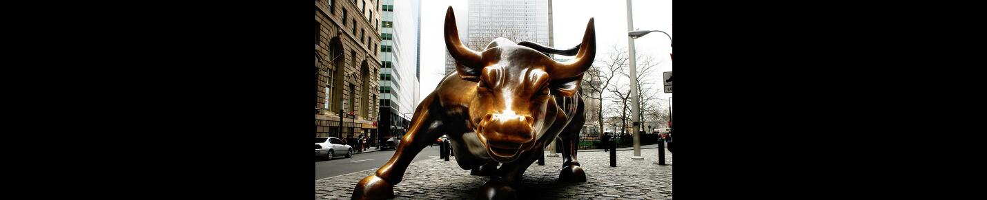 thewallstreetbull