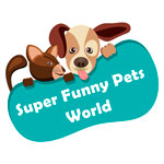 Super Funny Pets World