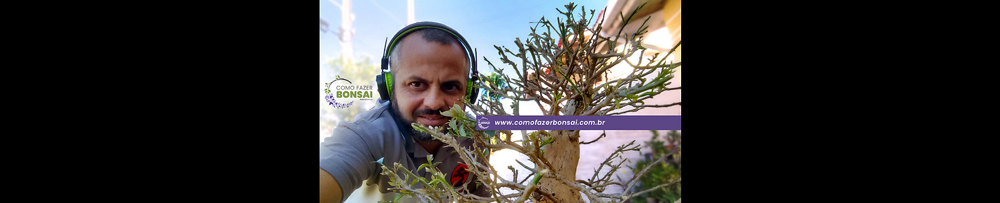 Como Fazer bonsai