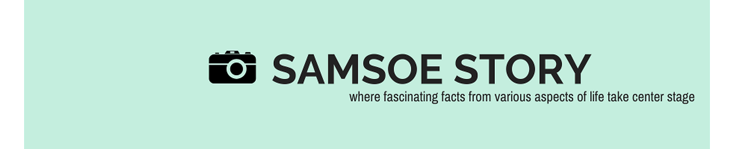 Samsoe Story