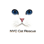 NYC Cat Rescue