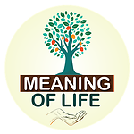 MEANING OF LIFE