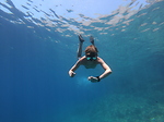 Freediving