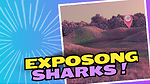 EXPOSING SHARKS