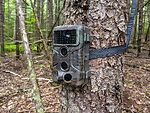 The Backwoods Trailcam