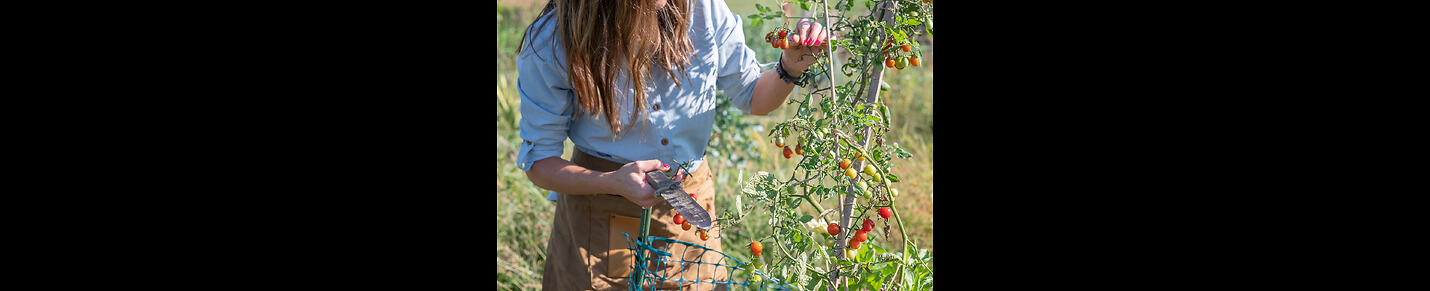 Food Freedom with P&P Edible Gardens