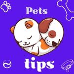 PetsTips55