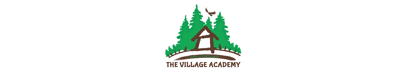 The Village Academy by Fayaz Ahmad Dar