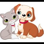 Funnnypet dog and cats