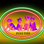 Funy Tips