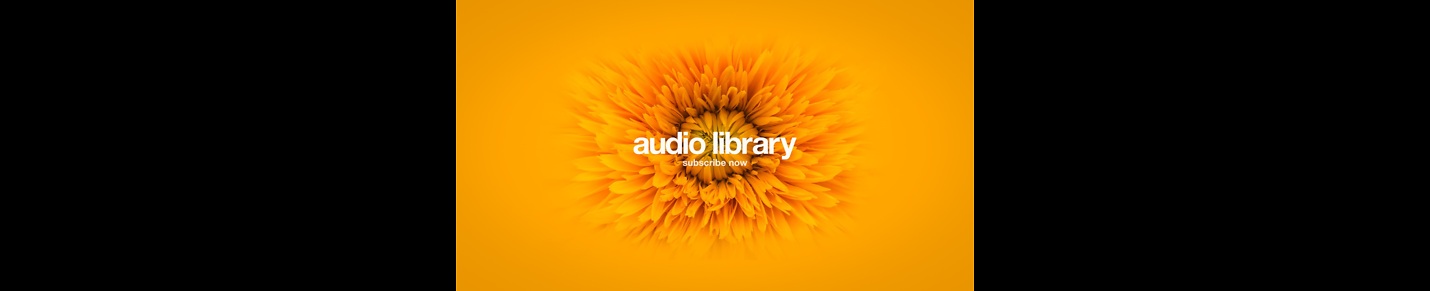 Audio Library