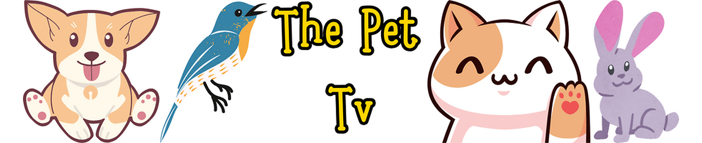 The Pet Tv