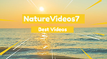 NatureVideos7