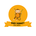 Baby Monkey Animal
