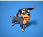 Dog funny trening video