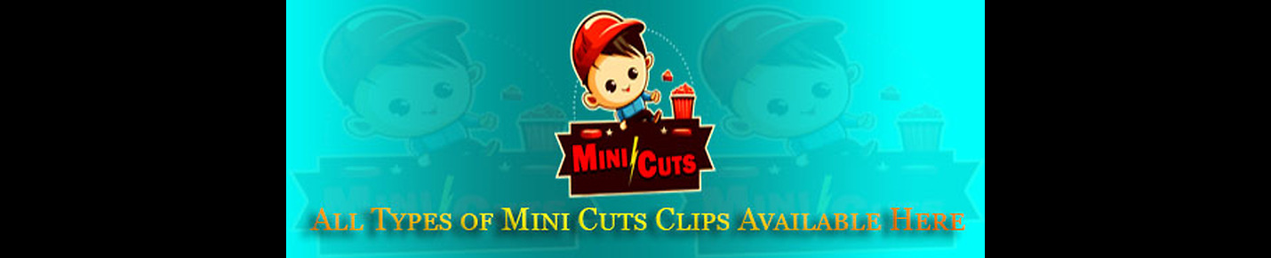 MiniCuts