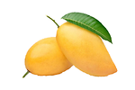 Mango's Family🥭