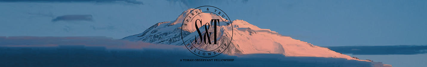 Spirit and Truth Fellowship