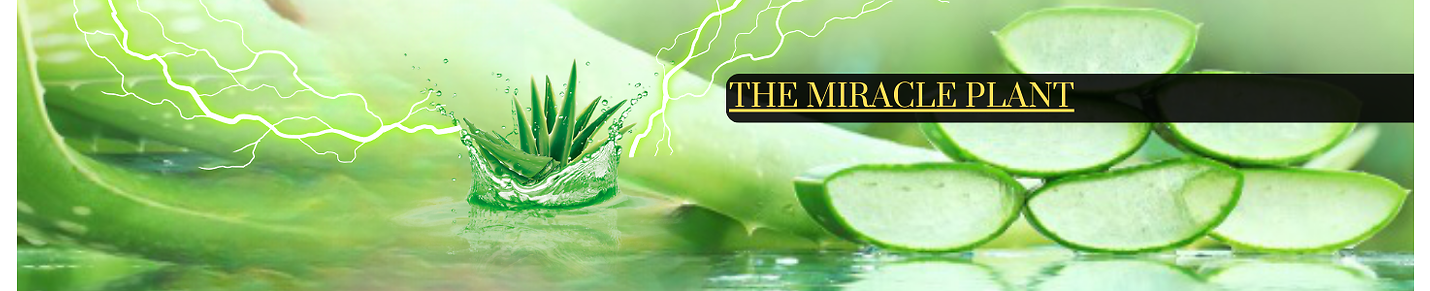 The Miracle Plant | Passionate About Aloe Vera