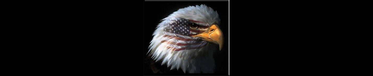 Eagles Over America