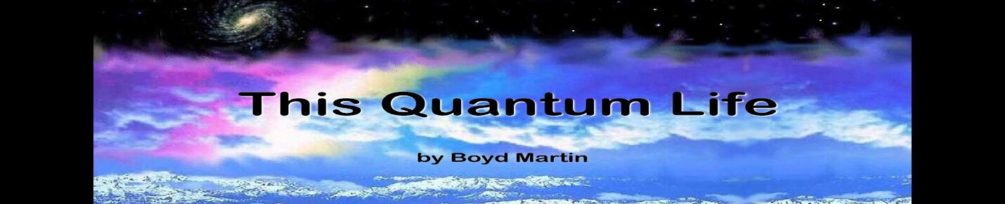 This Quantum Life