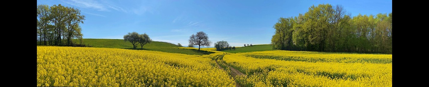 Daily 10-Minute Mindfulness Meditation- Nature's Medicine