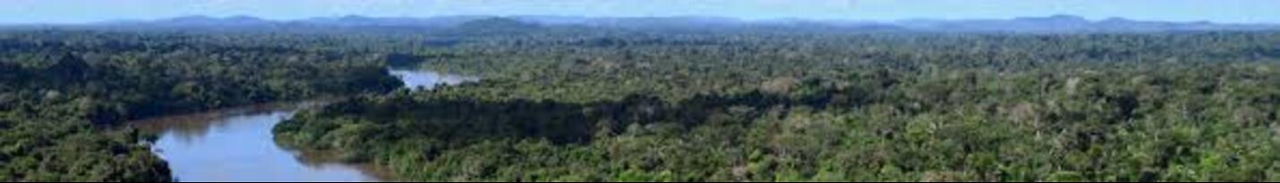 Survival in the tropical rainforests arount the world