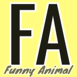 Funny Animal