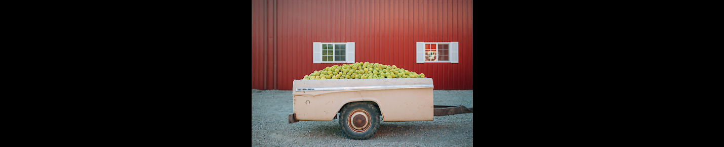 Pomifera Oil & Homesteading