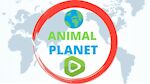 Animal Planet 97