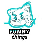 Funny Things