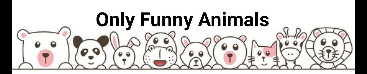 Only Funny Animals