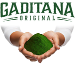 Introducing Original Superfood Gaditana  PhytoPlankton