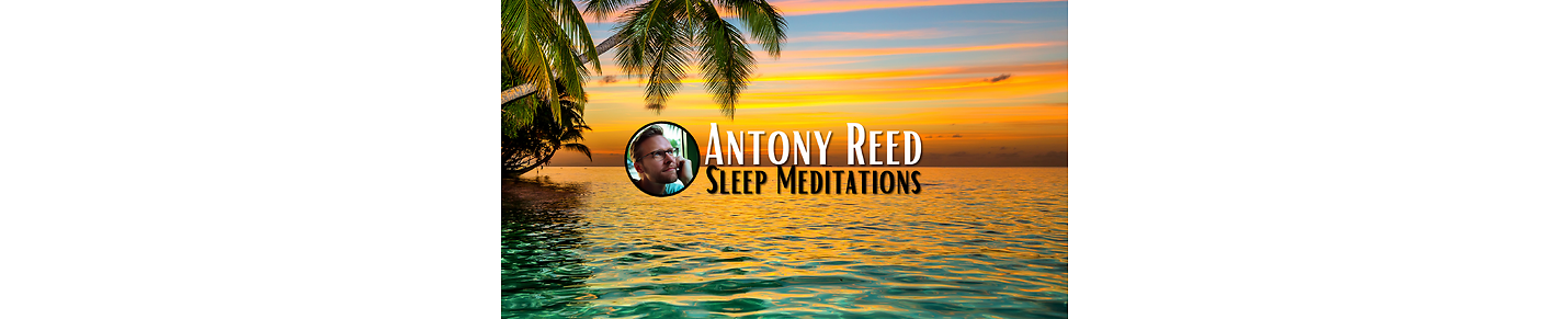 Antony Reed - Sleep Programming