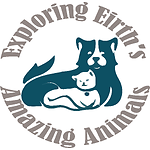 Exploring Eirth's Amazing Animals
