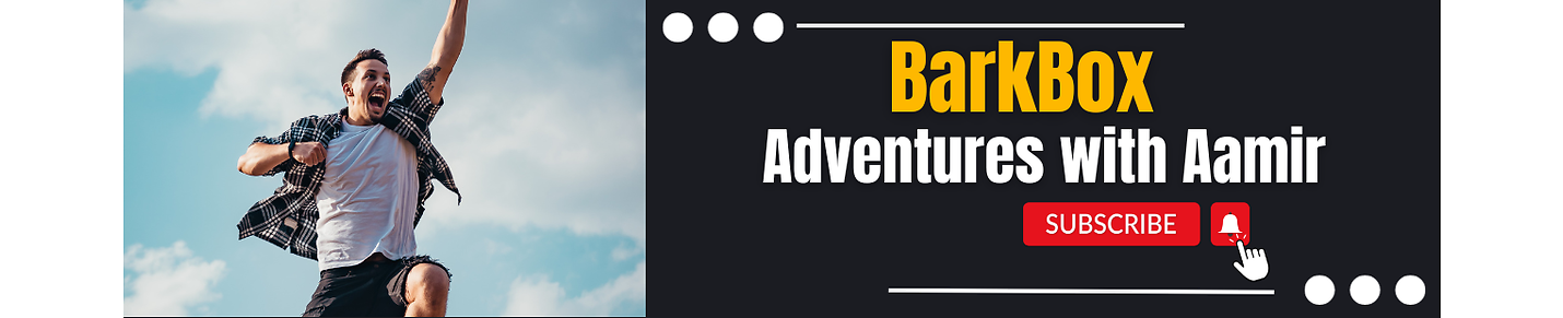 BarkBox | Adventures with Aamir 🐶📹