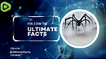 "UltimateFacts": Your Source for Facts"