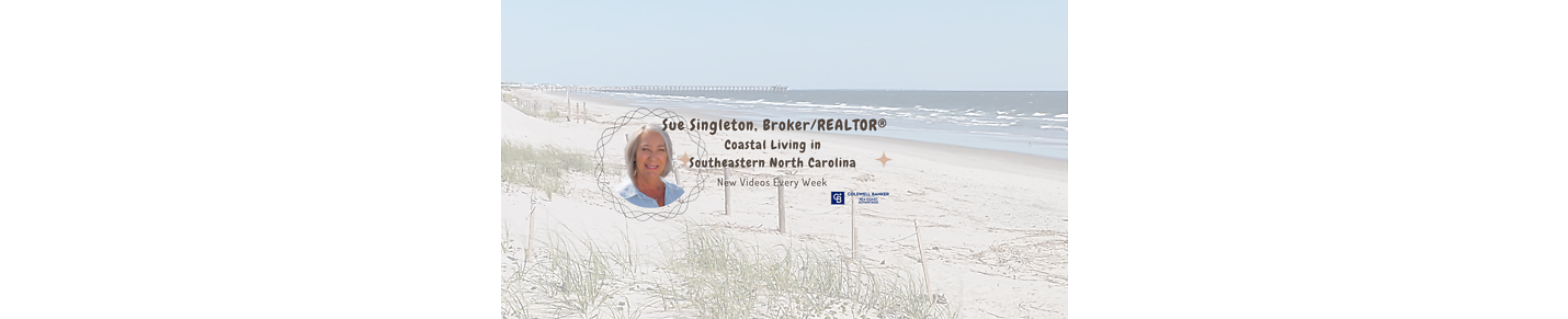 Carolina Coast Homes by Sue Singleton